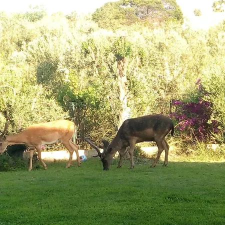 Hébergement de vacances Fiametta *